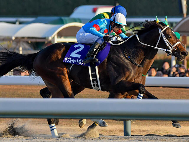 【フェブラリーS・調教後馬体重】ダブルハートボンドは484kg、コスタノヴァは492kg