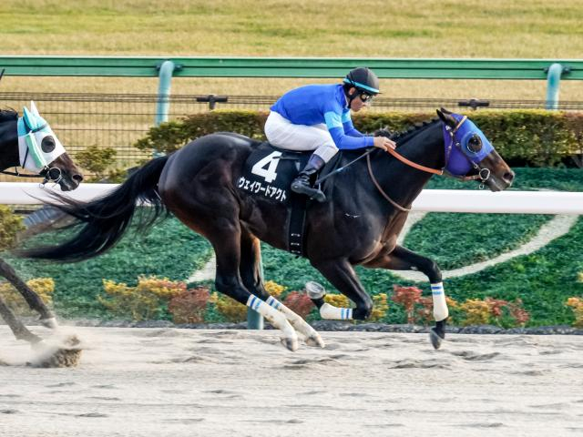 【有力馬動向】肌ツヤ良しウェイワードアクト かきつばた記念に出走予定/馬三郎のつぶやき