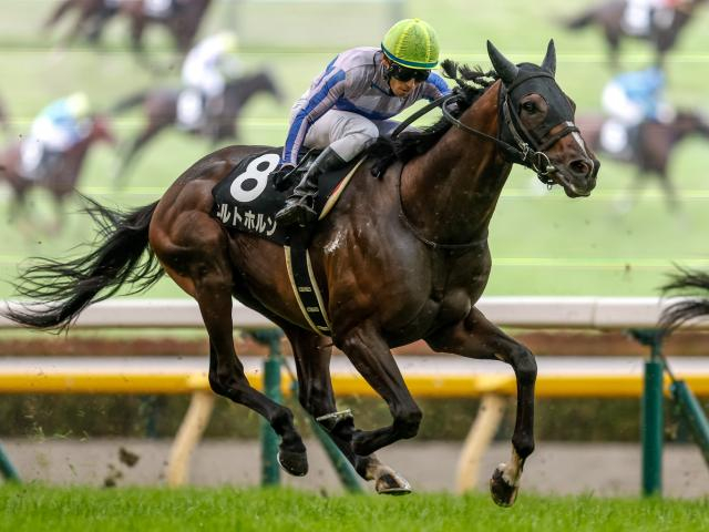 【週末情報】シルトホルンの単勝買って応援！ 石田Jが重賞初騎乗/馬三郎のつぶやき