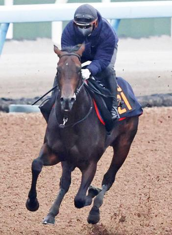【注目馬動向】東京スポーツ杯2歳Sの覇者パントルナイーフは皐月賞トライアルを視野