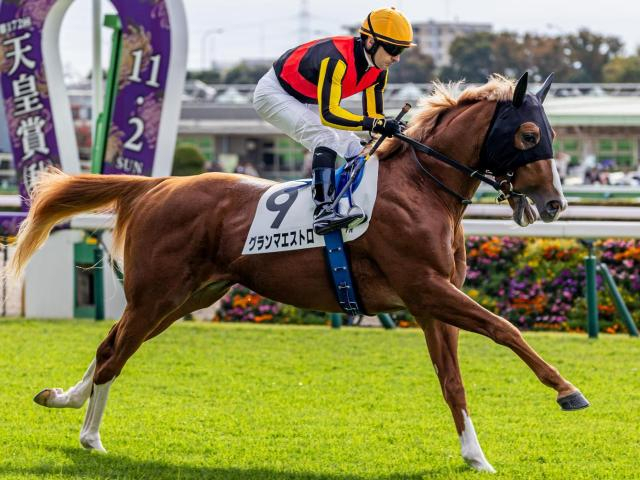 名牝グランアレグリアの初仔 グランマエストロが初勝利狙う