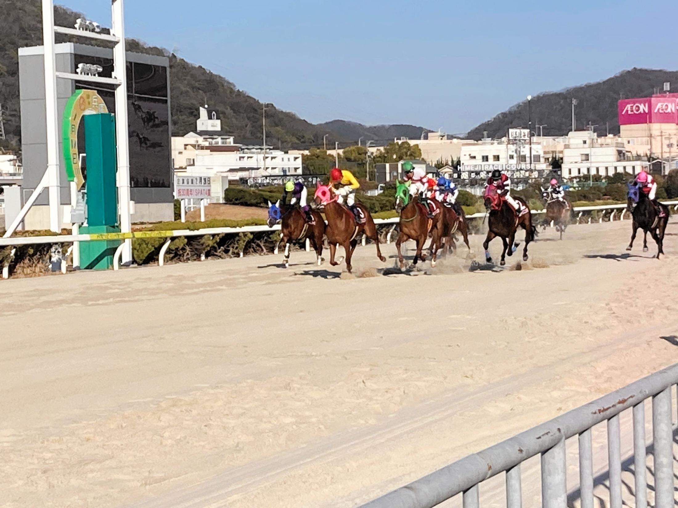 【地方競馬】姫路・兵庫ユースカップ　重賞初挑戦のベラジオソニックが直線抜け出しＶ