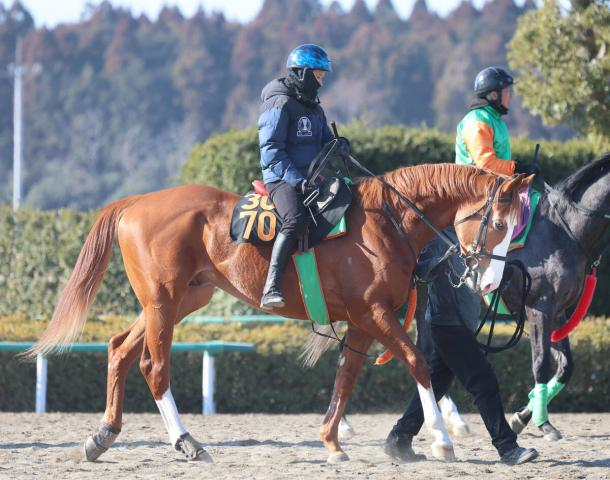 【POG】いかにもダートが向きそうな大型馬イーグルロック　相沢調教師「走るよ」