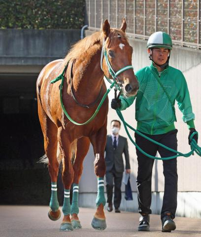 【注目馬動向】セントポーリア賞VのラストスマイルはスプリングSへ　引き続き杉原誠人騎手