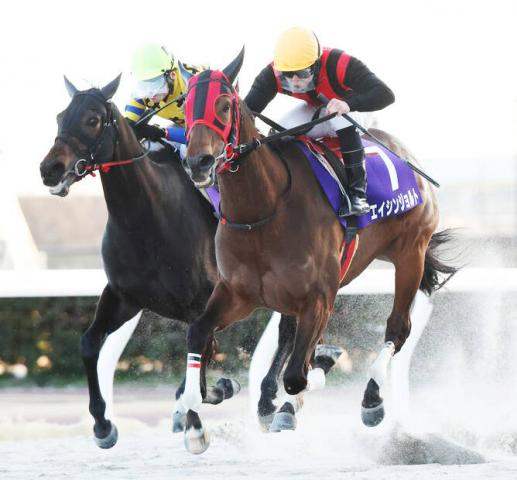 【笠松・ブルーリボンマイル】大荒れ!9番人気のエイシンジョルトがV　3連単37万円超　1番人気スマートアンバー3着