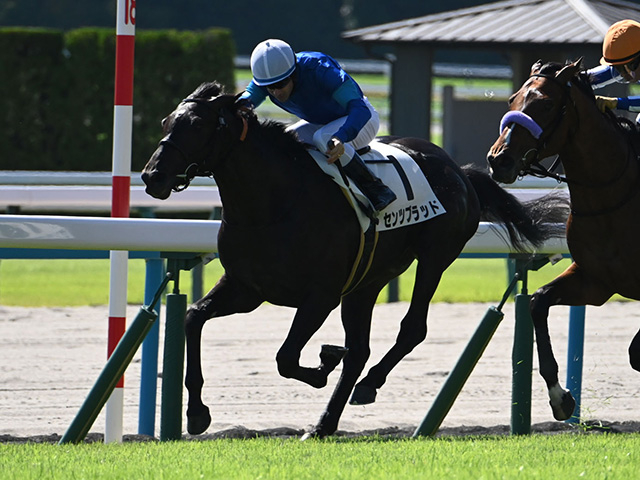 【小倉大賞典枠順確定】センツブラッドは6枠12番、ガイアメンテは7枠13番