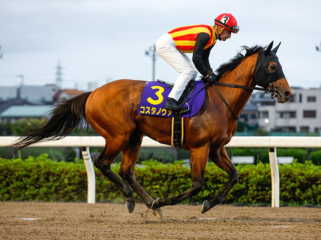 【フェブラリーS枠順確定】コスタノヴァは6枠12番、ダブルハートボンドは5枠9番