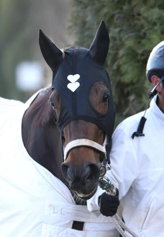 【フェブラリーS】ハートの流星ダブルハートボンドは5枠9番　2年連続Vの好枠をゲットで牝馬初Vへ