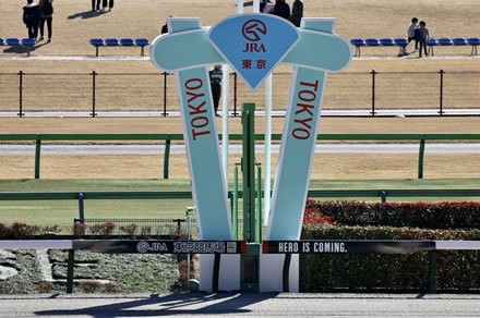 【枠順確定】第43回フェブラリーS(GⅠ)/ コスタノヴァ6枠12番、ダブルハートボンド5枠9番