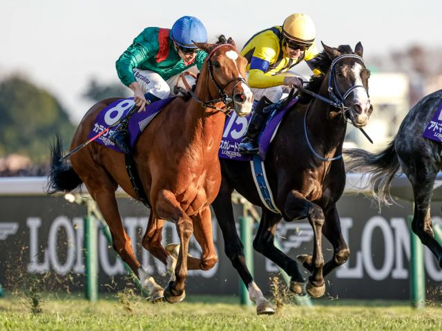 ロンジンワールドベストレース受賞は2度目の快挙 今週末には記念競走も実施