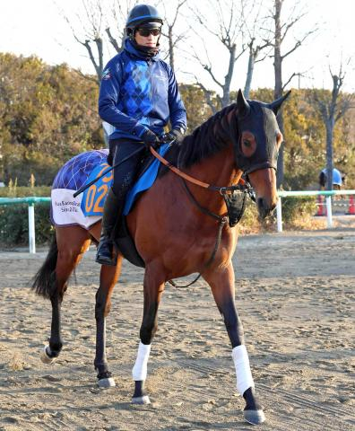 【注目馬動向】アメリカJCC2着のドゥラドーレスは金鯱賞へ　悲願の重賞初タイトルを狙う