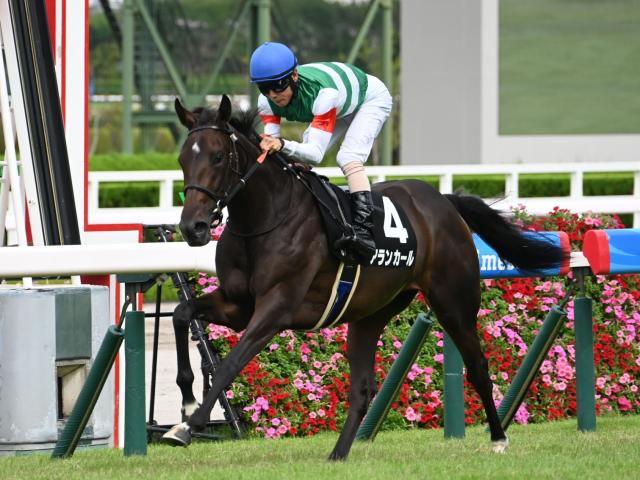 【チューリップ賞想定馬・騎手】アランカール、コニーアイランドなど15頭