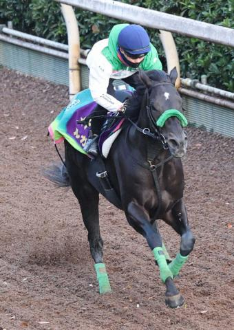 【オーシャンS展望】G1馬ルガルとママコチャが激突!