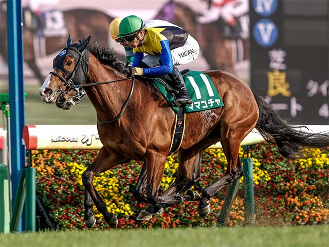 【オーシャンS想定騎手】ママコチャは川田騎手、ルガルは鮫島駿騎手