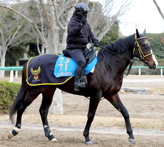 【中山記念】25年京成杯で大波乱演出のニシノエージェント　叩き2戦目、距離短縮でガラリ一変を狙う