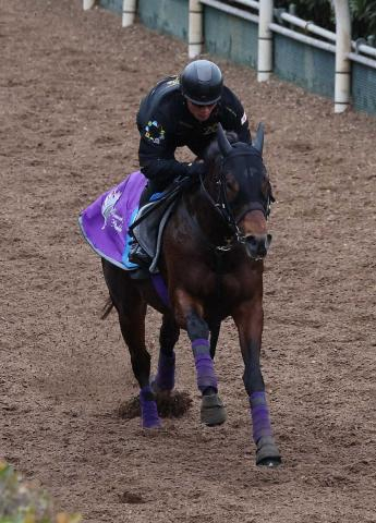 【名古屋競馬　かきつばた記念】ダノンフィーゴ　直線突き放して重賞初V　売得金はレコード更新