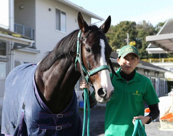 ダンビュライト死す…12歳　腸捻転のため　17年皐月賞3着、18年AJC杯&19年京都記念V