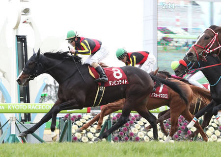 【訃報】ダンビュライト死亡