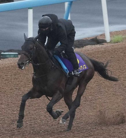 【中山記念】中山金杯Vの4歳馬・カラマティアノス中心