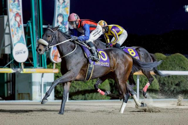 【チューリップ賞】サキドリトッケン　佐賀から参戦　真島元師「仕上がり順調」