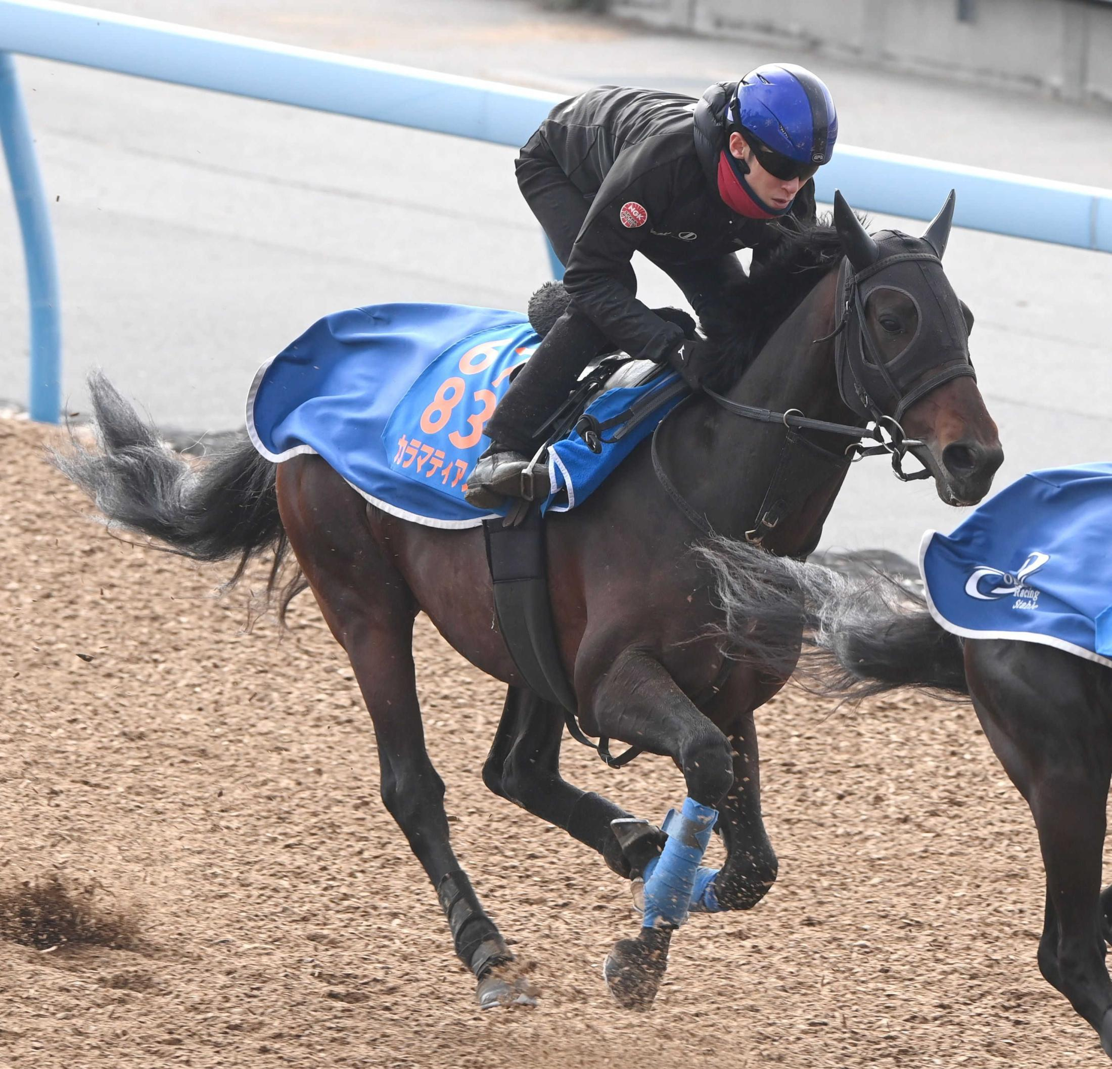 【中山記念】カラマティアノス　重賞連勝で実力証明だ　中山金杯で初Ｖ「馬は良くなっています」