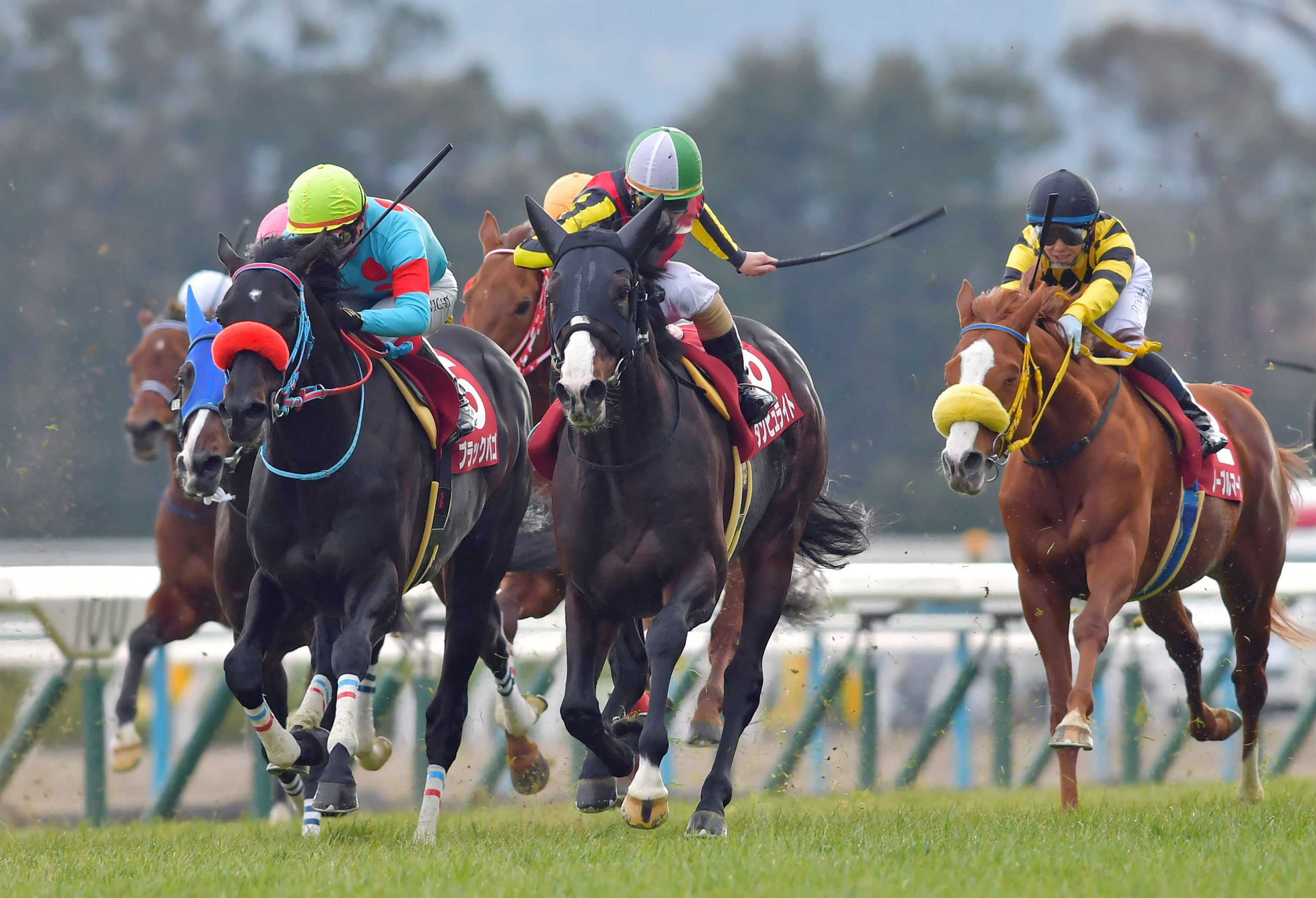 重賞２勝ダンビュライト　腸捻転で急死　２２年の阪神大賞典がラストレース