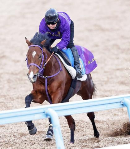 ディマイザキッドは菅原明良騎手と新コンビで金鯱賞へ　美浦・清水英克厩舎勢の次走予定