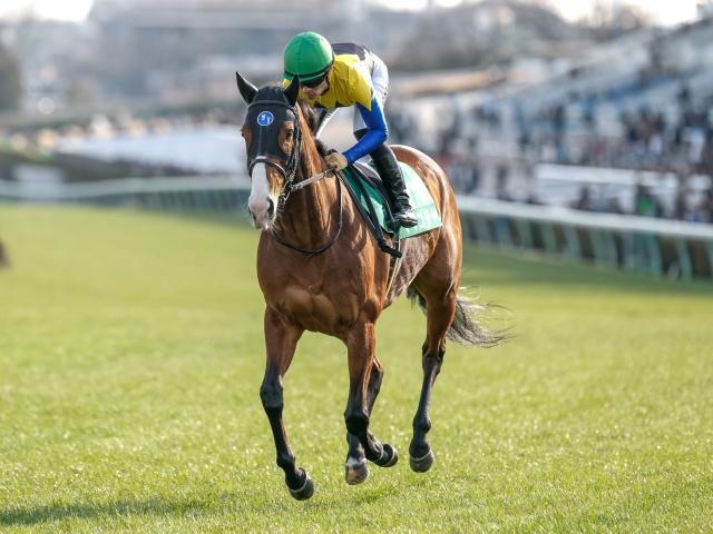 【オーシャンS予想オッズ】ママコチャが予想1番人気