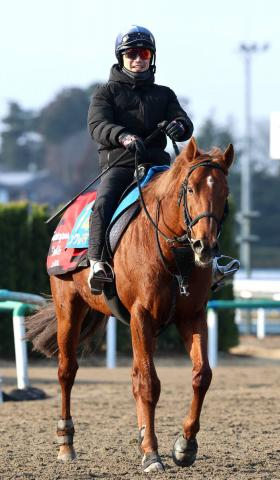 【オーシャンS】9歳馬ウイングレイテストの強さの秘けつは?　畠山調教師「人と同じで食べることが大事」