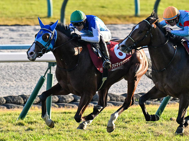 【弥生賞想定】アドマイヤクワッズやパントルナイーフなど11頭