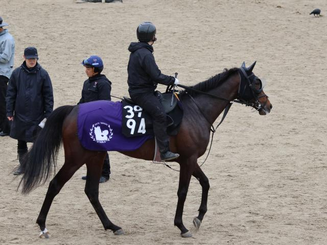 バステール、弥生賞1週前追い切り速報/栗東トレセンニュース