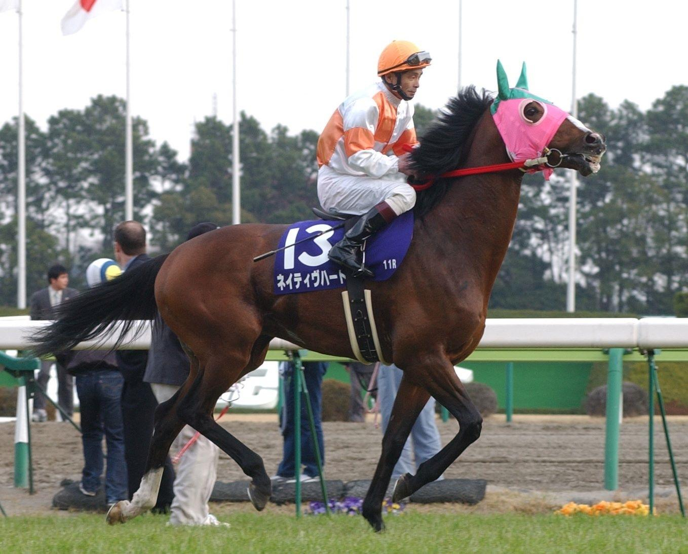 【地方競馬】２００６年にオーシャンＳを制した地方の英雄・ネイティヴハートが病死　池田草龍オーナーは「生涯の相棒」と戦友に感謝