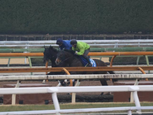 ケリフレッドアスク、中山牝馬S1週前追い切り速報/栗東トレセンニュース