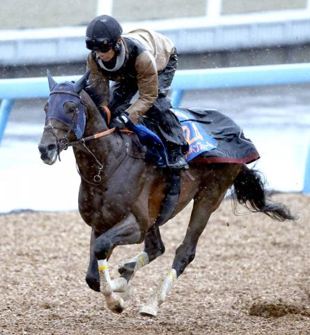 【中山記念】重賞2勝の中山の舞台に替わって本領発揮だ!レーベンスティール　田中博調教師「今回も落ち着きはカギ」