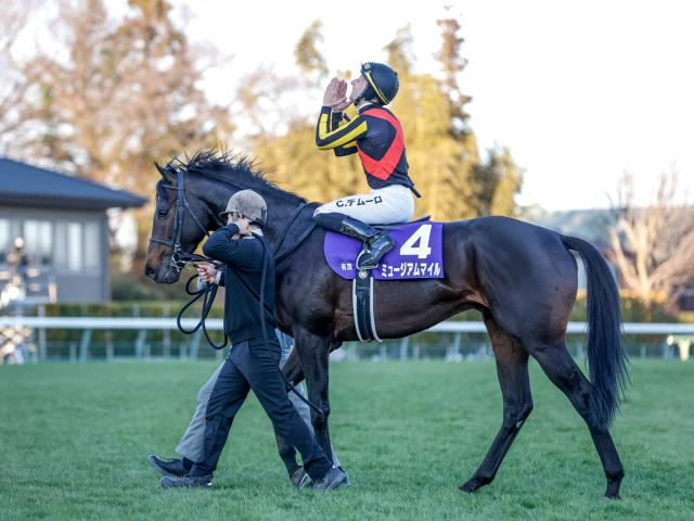 【有力馬動向】ミュージアムマイルがリフレッシュ完了 ドバイターフへ至極順調/馬三郎のつぶやき