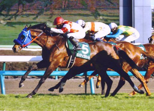 オーシャンS当週にまさかの悲報　「地方の雄」ネイティヴハート死す　06年に同レースの単勝最高払戻金額マーク