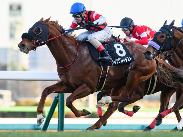 【オーシャンS】レース史上最高齢Vへ ウイングレイテストが2年4カ月ぶりの重賞2勝目狙う