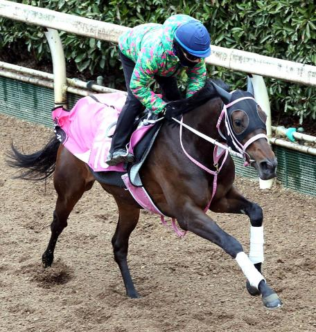 【チューリップ賞】阪神JF3着のタイセイボーグは活気満点の動き　松下調教師「権利をとって桜花賞に向かいたい」