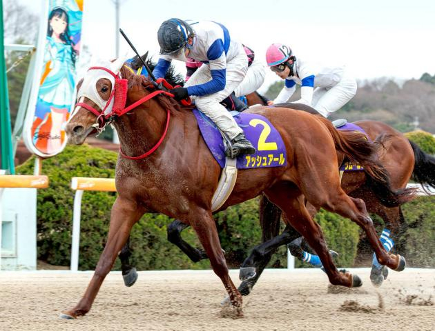 3連単206万円超!「絶対当てれん」「こりゃダメです」佐賀の名物レース爆荒れ決着にSNS仰天　たんぽぽ賞