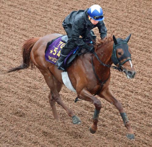 【中山記念】復調の兆し見せたシャンパンカラー　最終追い切りに岩田康誠騎手が好感触「前回よりもっといい」