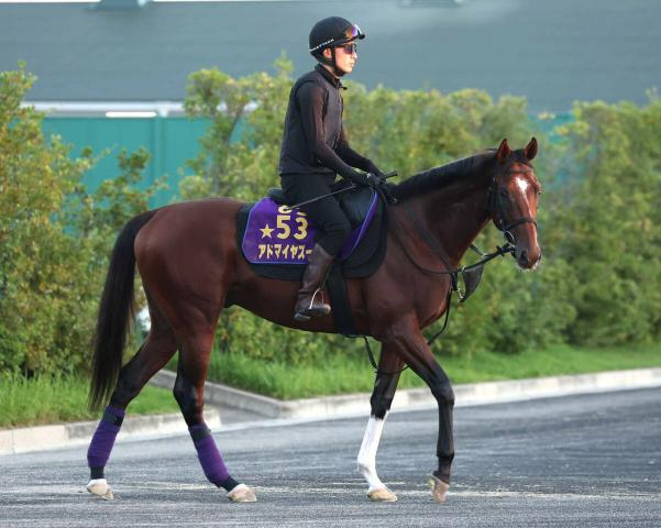 【注目馬動向】24年に朝日杯FS制覇　アドマイヤズームは読売マイラーズCで復帰へ　G1勝ちの舞台で復活目指す