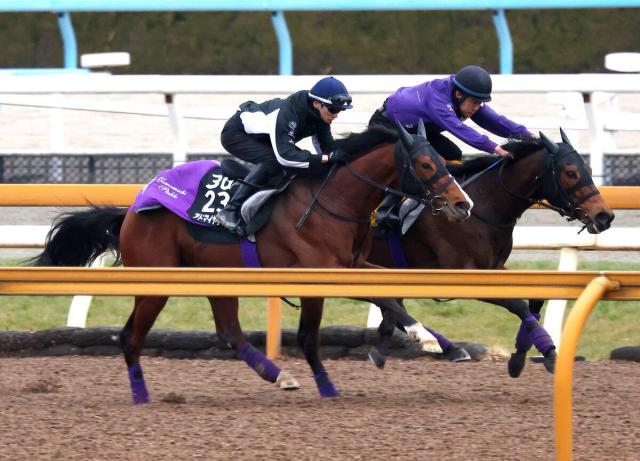 【報知杯弥生賞・1週前】ラスト10秒9!アドマイヤクワッズ皐月賞権利取りへ鋭進　友道調教師「このひと追いで...」