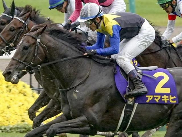 名牝アパパネの産駒2頭 国枝調教師のラストウイークを勝利で飾るか