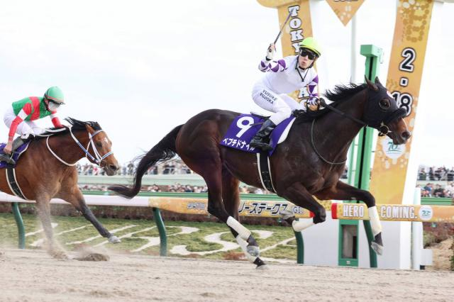 ペプチドナイルがアロースタッドで種牡馬入り　フェブラリーS制覇時の藤岡佑介騎手引退週に発表