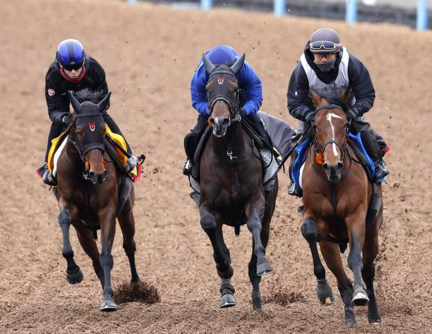【中山牝馬S・1週前】4連勝中のニシノティアモは超抜の動き　上原佑調教師「津村さんも褒めてくれました」
