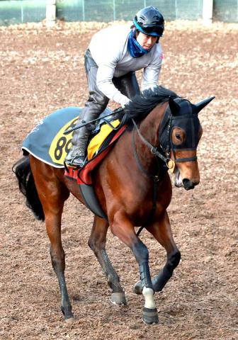 【注目馬動向】スリールミニョンは愛知杯で反撃へ　高橋康之調教師「中京では結果を出していますから」2戦2勝得意コース