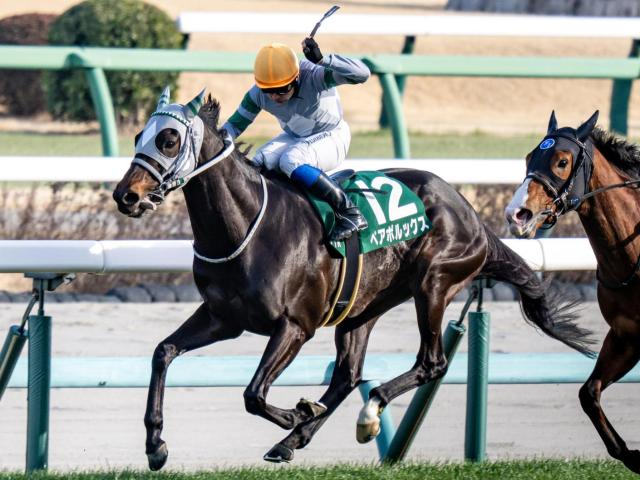 中山芝は逃げ先行馬を狙え オーシャンSはペアポルックスが波乱呼ぶ