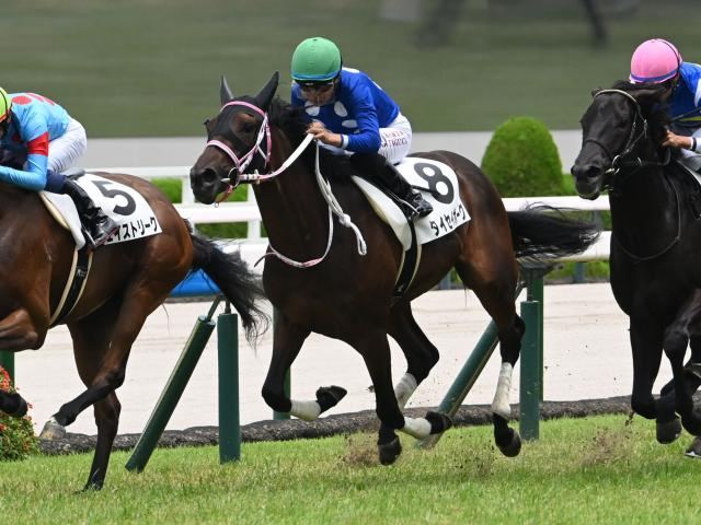 阪神芝のトラックバイアスは？ チューリップ賞はタイセイボーグが軸に最適だ