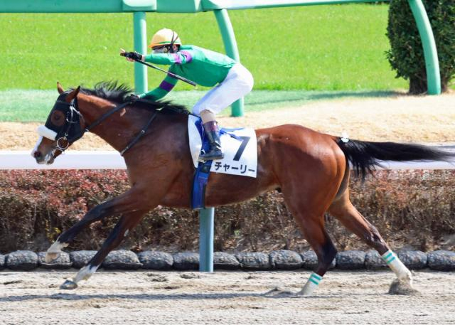 名手がゴール前でまさかのガッツポーズに「めっちゃ早かった」「圧勝すぎて…」　チャーリーが引退調教師に花を添える