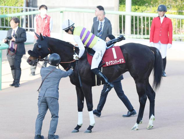 【中山記念】1番人気セイウンハーデス逃げてスタンド沸かせるも12着　幸英明騎手「もまれるのが嫌だったので…」
